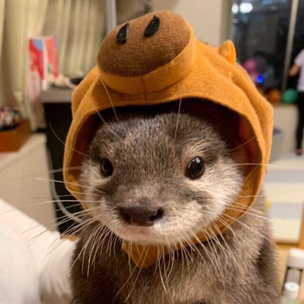 Profilbild